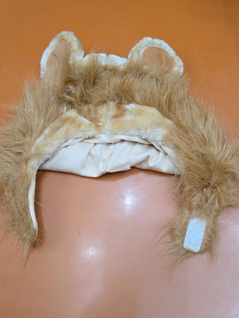Lion Dog Hat, Size Small/medium